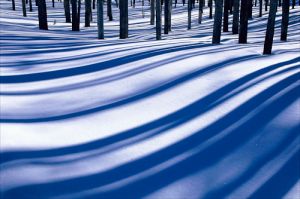 Snow shadows